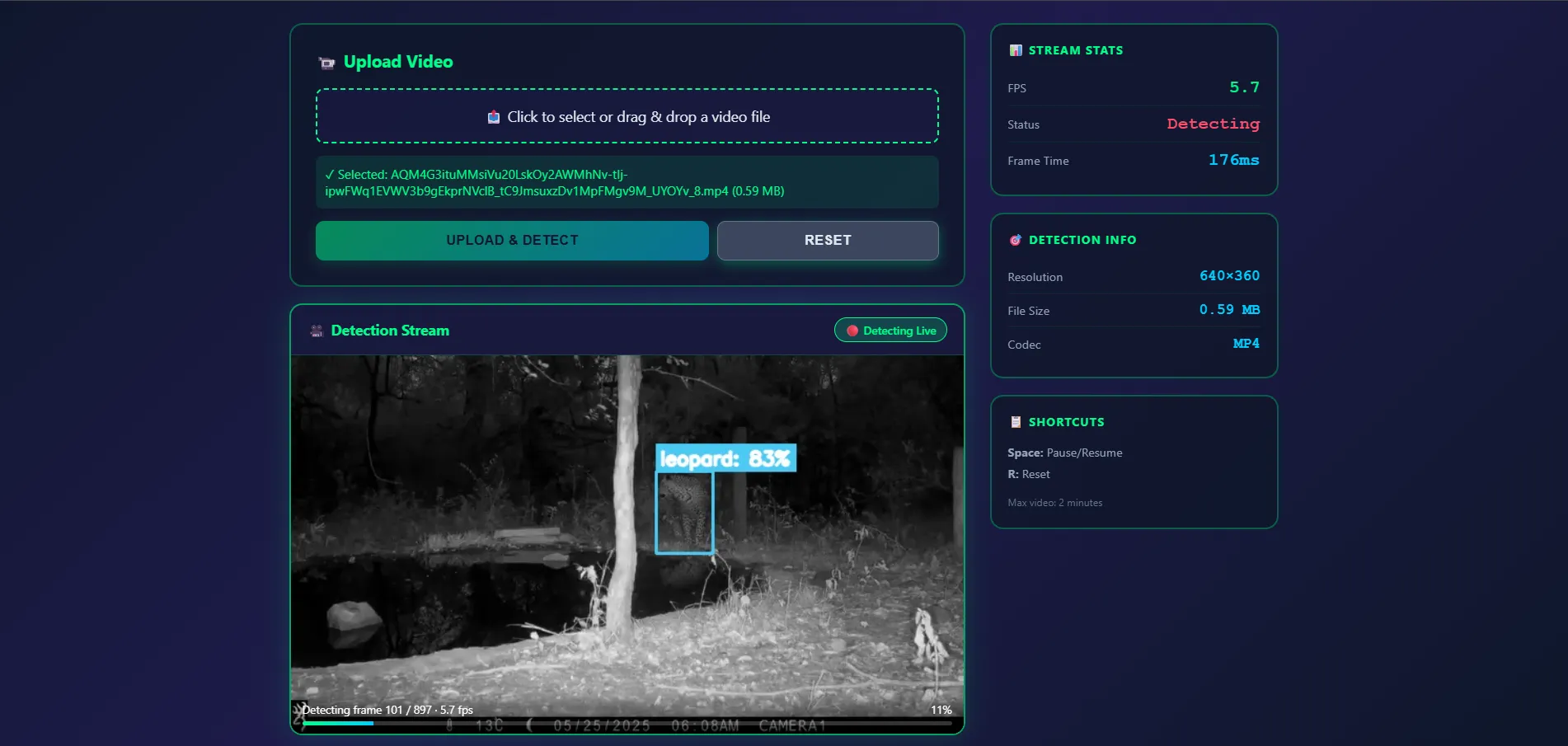 WildVision AI