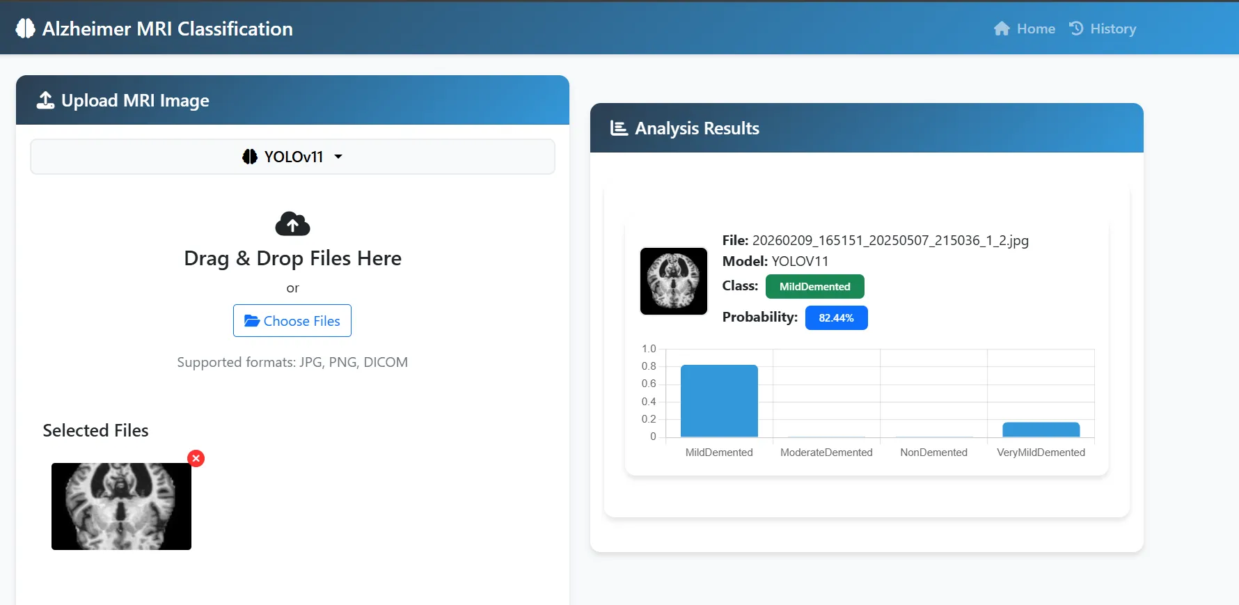 Healthcare AI Diagnostics